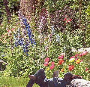 jim enjoying his garden