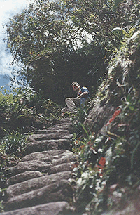 ancient incan steps